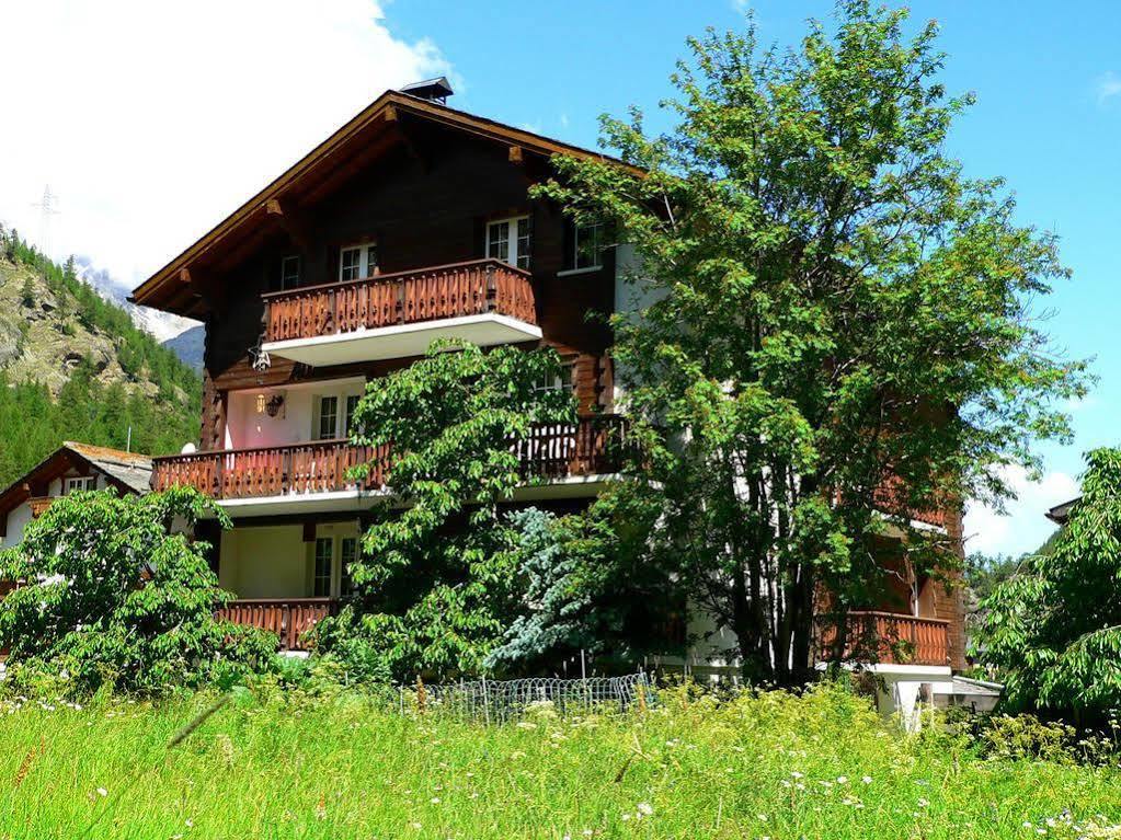 Haus Alpenperle Lägenhet Saas-Almagell Exteriör bild