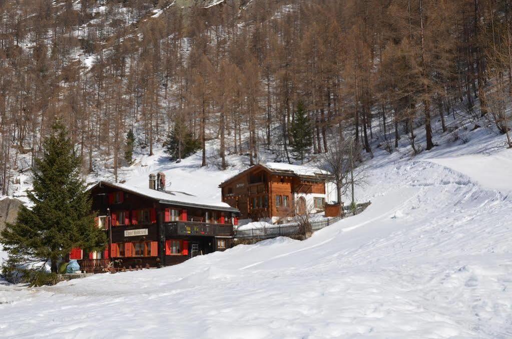 Haus Alpenperle Lägenhet Saas-Almagell Exteriör bild