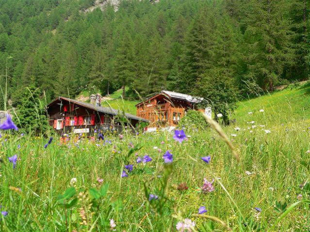 Haus Alpenperle Lägenhet Saas-Almagell Exteriör bild